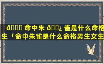 🐞 命中朱 🌿 雀是什么命格男生「命中朱雀是什么命格男生女生」